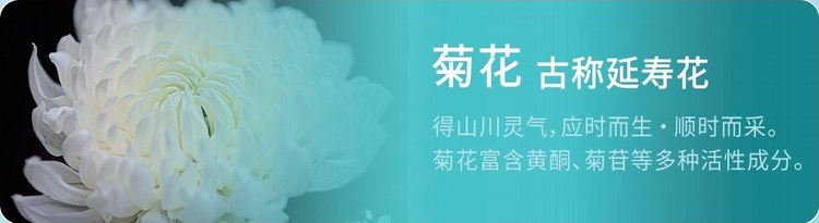 菊花｜古称延寿花